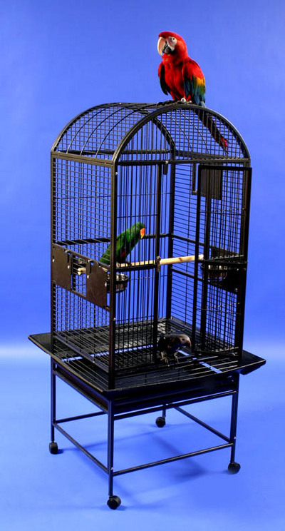 Classico XL Dometop Bird Cage by AE Cage Co
