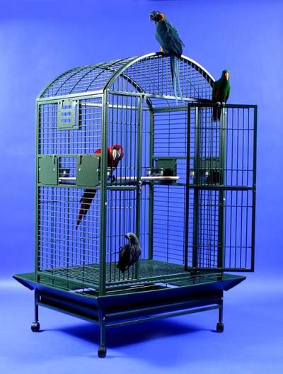 Grey Palace XL Dometop Bird Cage by AE Cage Co