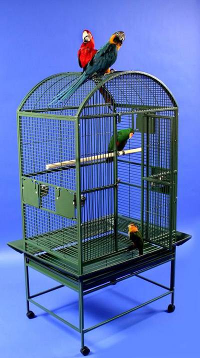 Grey Palace Dometop Bird Cage by AE Cage Co