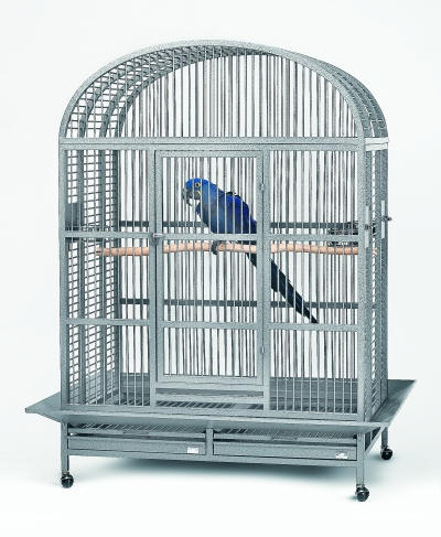 Click to see the Stainless Steel Hacienda Dometop Parrot Cage