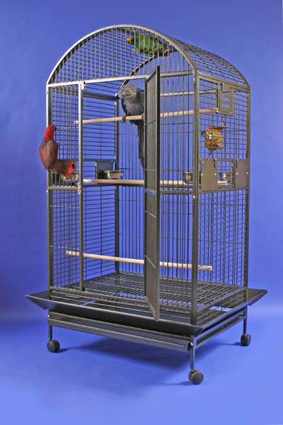 Macaw Mansion XL Dometop Bird Cage by AE Cage Co