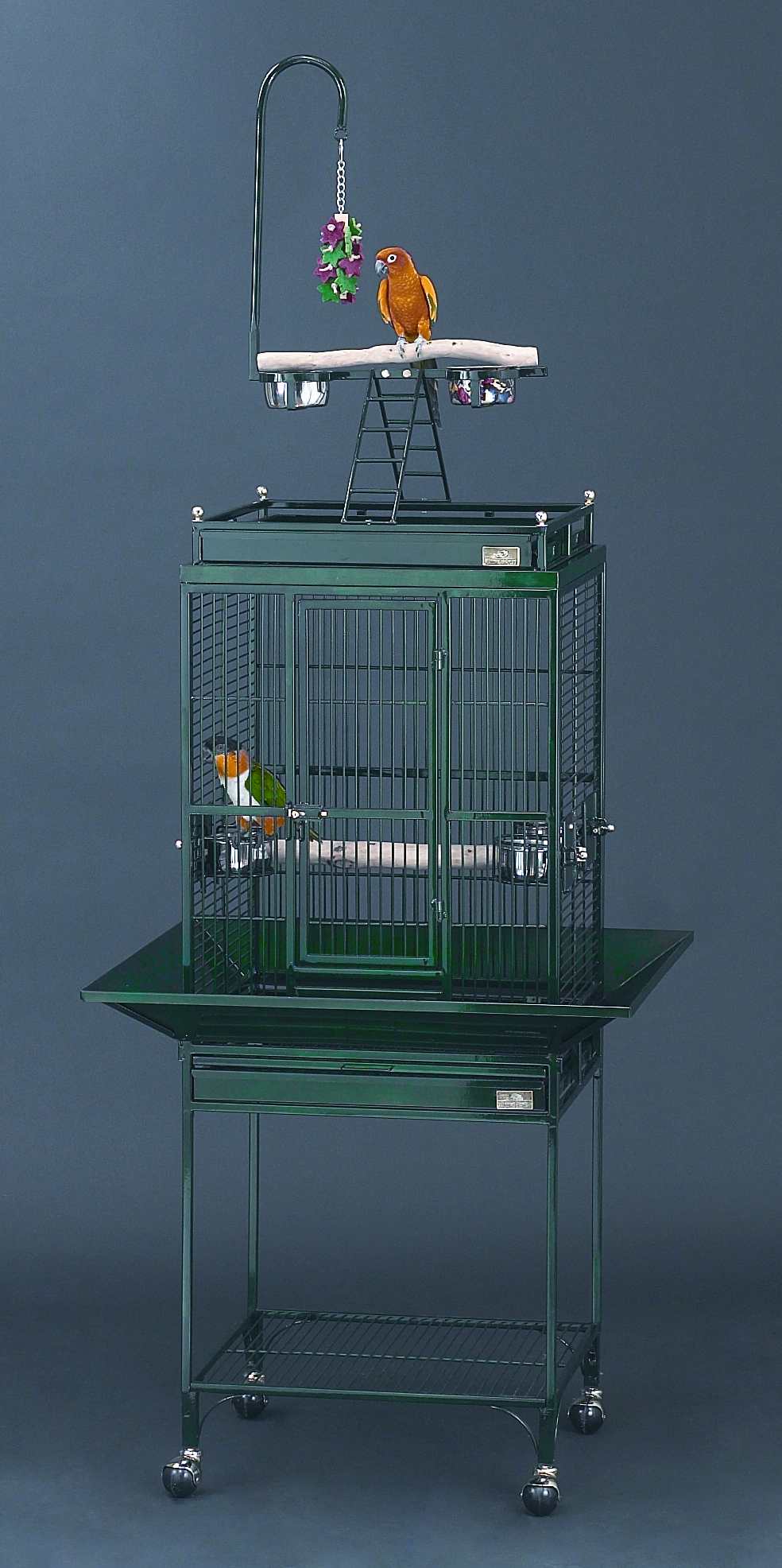 Click to see the Nina Playtop Bird Cage