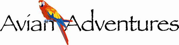 Quality Bird Cages From Avian Adventures