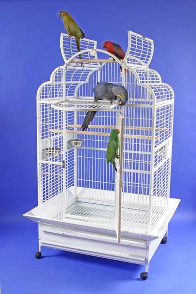 Victorian Retreat 40"x32" Parrot Cage